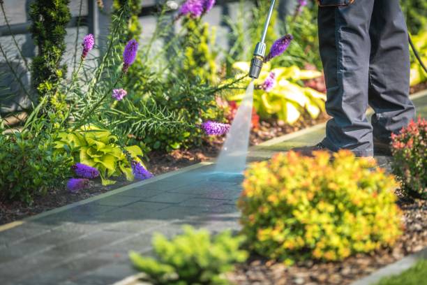 Best Pool Deck Cleaning  in Rouses Point, NY